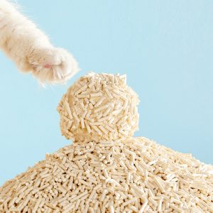 Tofu Cat Litter