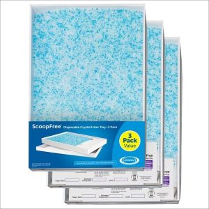 Disposable Tray
